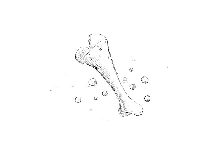 骨